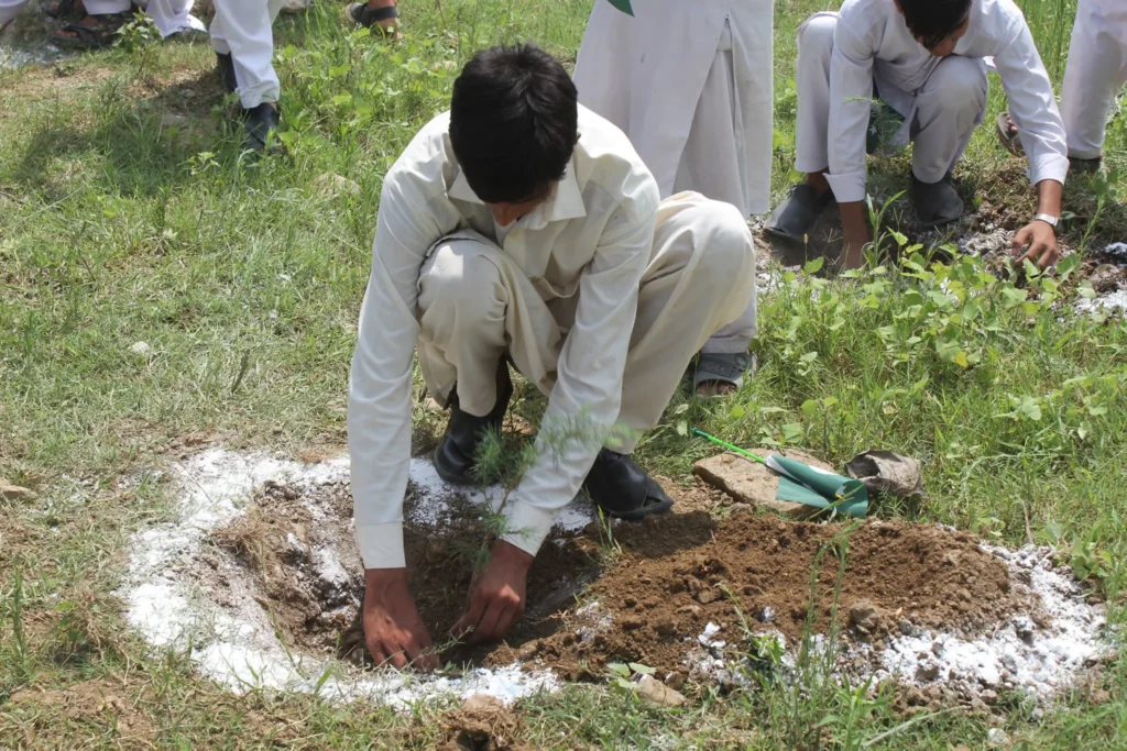 District Commissioner Leads Independence Day Tree Planting Initiative in Battagram