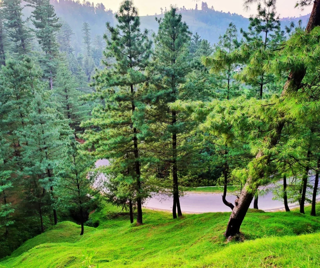 Chattar Plain Tourism: Your Ultimate Guide to Exploring Mansehra