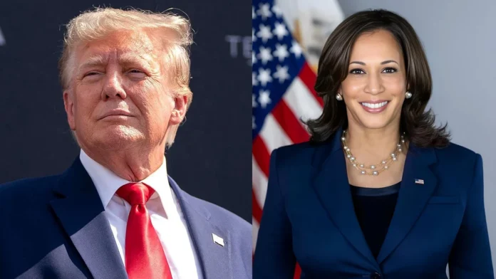 Kamala Harris Calls Out Donald Trump: "I Know His Type" – A Legal Perspective